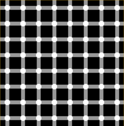 Optical illusion - grid